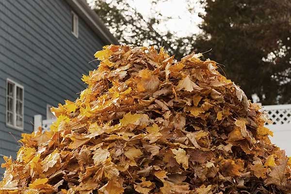 Yard Waste