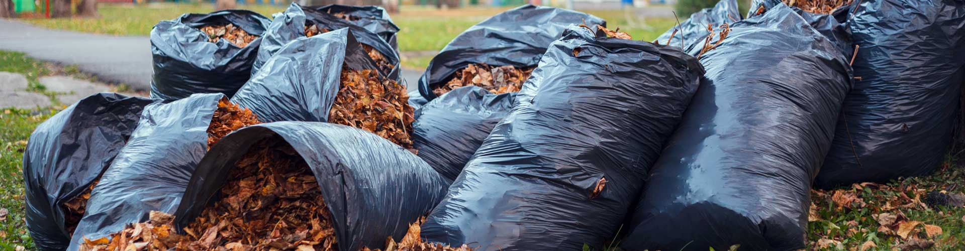 Moving & Junk Removal Services in Kansas City, MO
